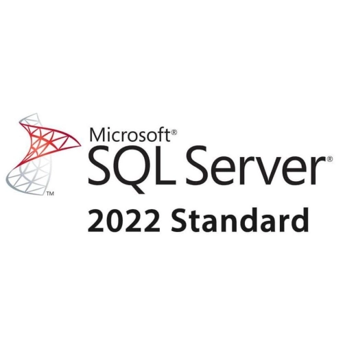 MICROSOFT SQL SERVER 2022 STANDARD EDITION (OPEN LISANS)